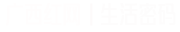广西红网